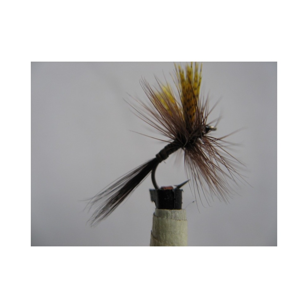 Dry Gordon Quill Size 14