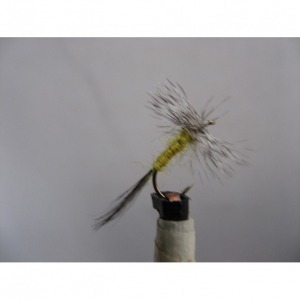 Dry Grey Hen & Yellow Size 14