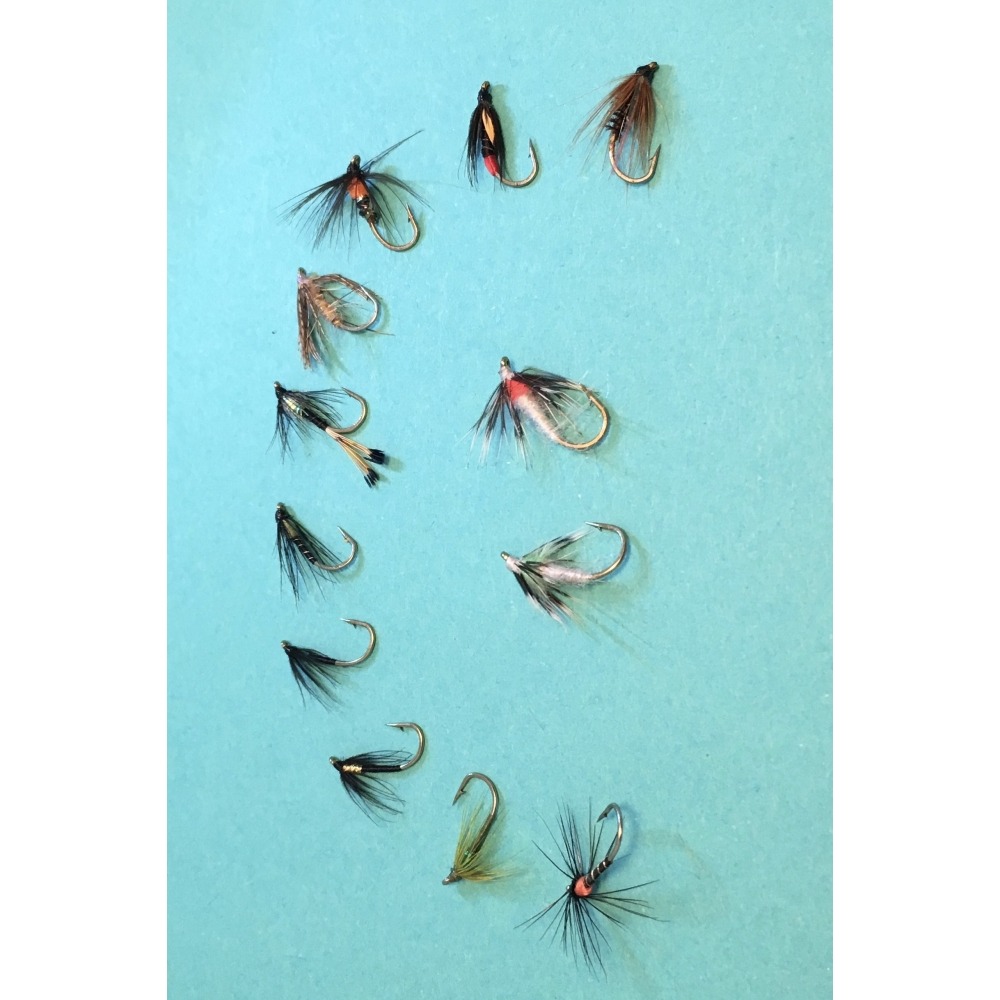 Spider Selection Size 14 