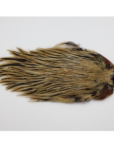 Wapsi Dry Fly Rooster Necks (Prime)