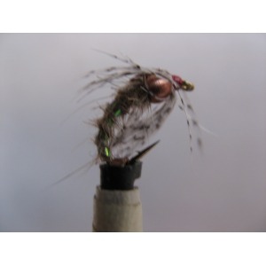 - ninf-ESP 104 4 models 12 nymphs of bétido gold head fly fishing