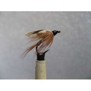 Wet August Dun Size 12