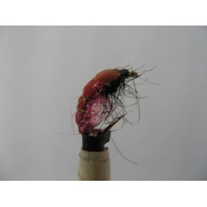 Glister Bug Size 12