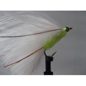 Rainbow Cats Whisker Size 10 L/S