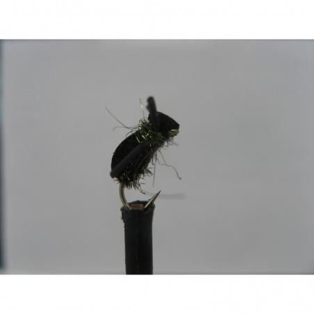 Foam Beetle Kicking Peacock