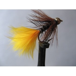 G/H Kate Sunburst Wet Size 12