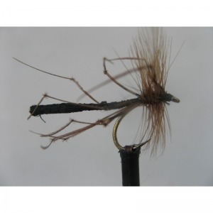 Daddy Detached Black Size 10