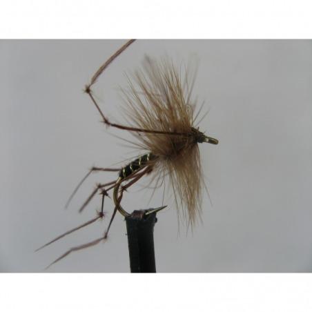 Daddy Black Size 10