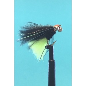 Twinkle Viva Mini Cats Whisker Size 10