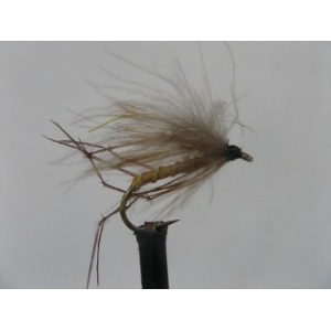 Daddy CDC Drowning Size 10