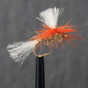 Hares Ear Shipmans Para Dry