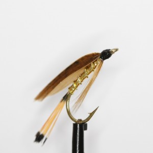 Cinnemon and Gold Sea Trout