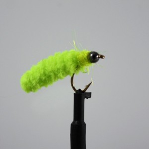 Black Head, Chartreuse Mop Bug