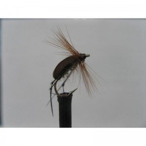 Foam Brown Hopper Size 12