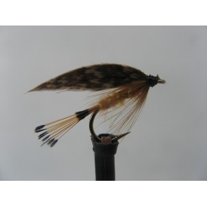 Wet Grouse & Orange Size 12