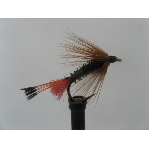 Eggstacy Cats Whisker Fly Fishing Wet,Trout Flies,Deadly Under Indicator, 