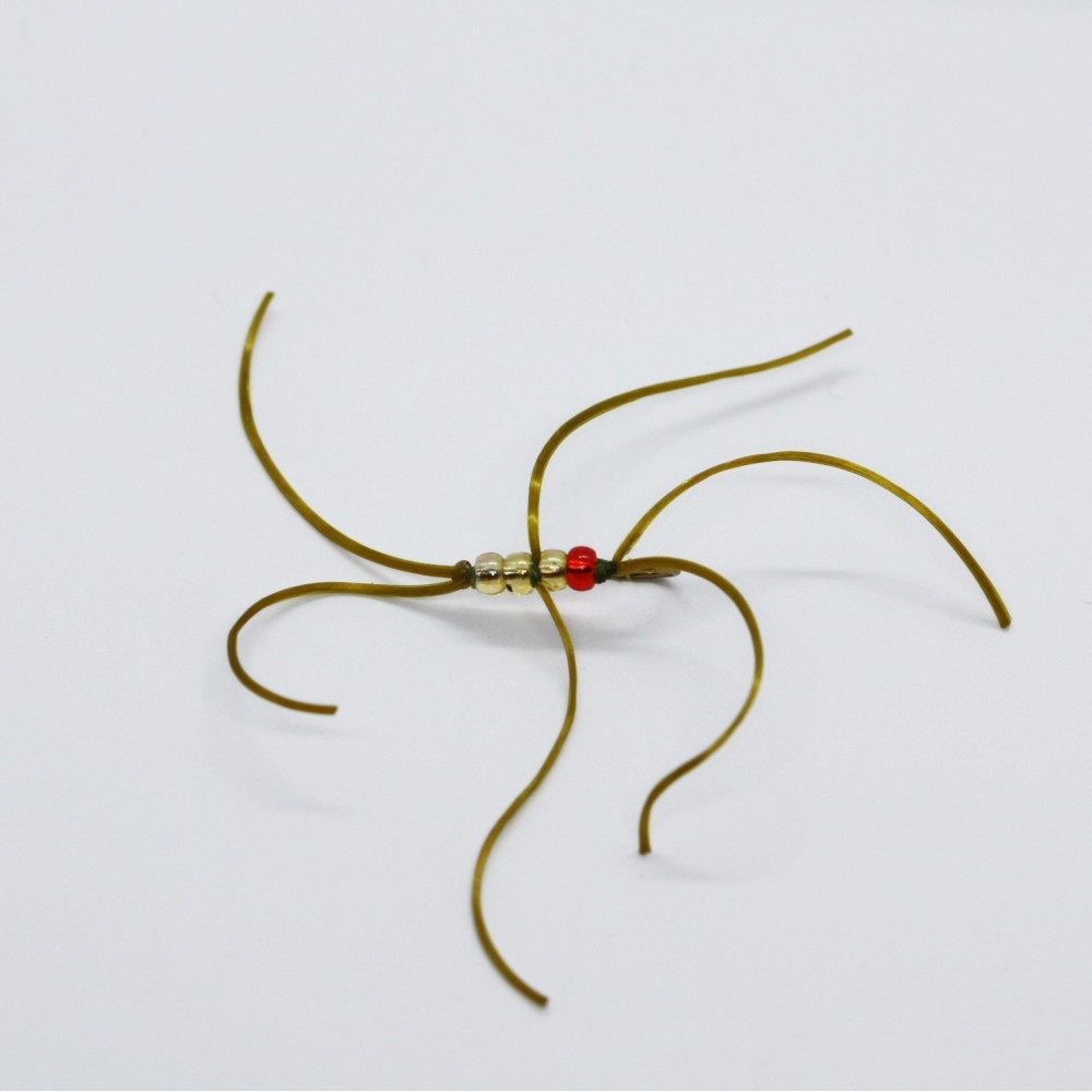 Northern Olive Blood Worm - Barbed