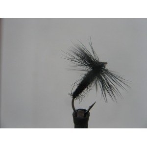 Dry Black Spider Size 14