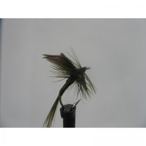 Dry Dark Olive Size 14