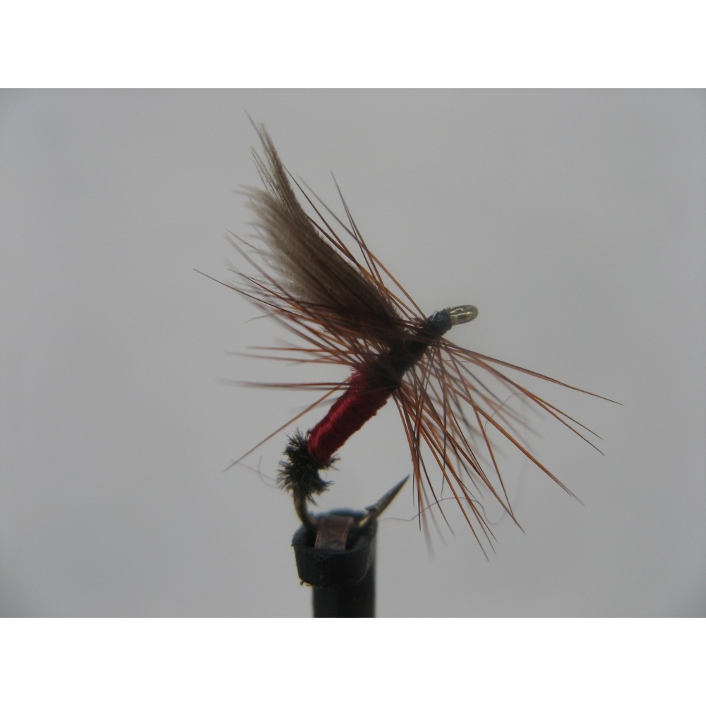 Dry Red Ant Size 14