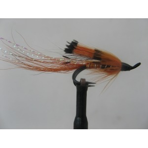 Allys Shrimp Double