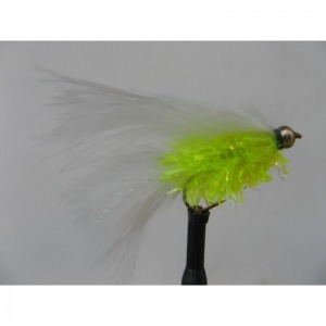 G/Head Cats Fritz Size 10 L/S