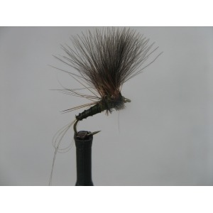 CDC Greenwell Size 14