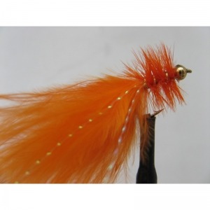 WSW Orange Size 10